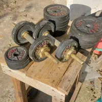 دمبل ۲۰ کیلویی متقیر