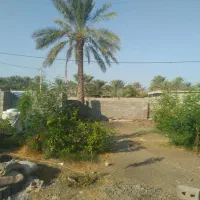 ده-قصب-زمین-کلاب-صوفیان