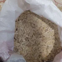 تخم طالبی دستی