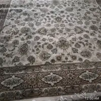 فرش دوازده متری 700شانه