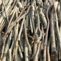 خریدچوب تر وخشک