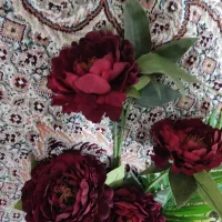 گل مصنوعی|گل مصنوعی|تبریز, |دیوار