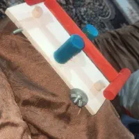 الاکلنگ پرنده