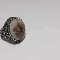 انگشتر و نگین شجر