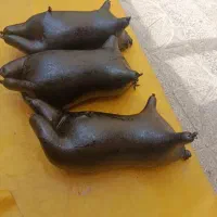 سه عدد هیزه