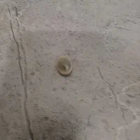 فروش تعدادی سنگ کلکسیونی|بدلیجات|شیراز, لشکری|دیوار