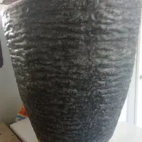 کاج مطبق|گل و گیاه طبیعی|فولادشهر, فولادشهر|دیوار