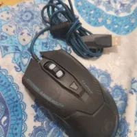 ۳ عدد موس سالم