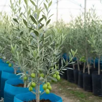 فروش فوری  با تخفیف باورنکردنی