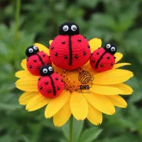 سرکلیدی کیوت