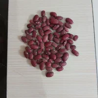 حبوبات