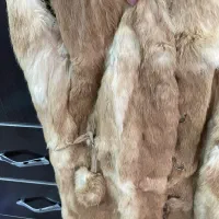 پالتو|لباس|مشهد, نوده|دیوار