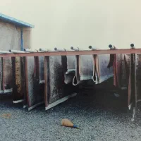 قالیشویی آذربایجان (شعبه سهند و اسکو)