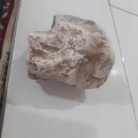 استخوان عقیق دار