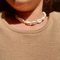 بدلیجات به قیمت عمده|بدلیجات|شیراز, فرگاز|دیوار