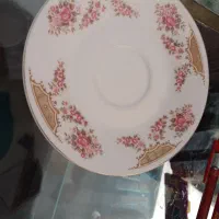 پلوخوری ومیوه خوری