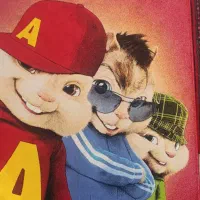 فرش و پرده