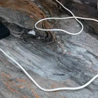 مودم  tpLink|مودم و تجهیزات شبکه|تهران, هروی|دیوار