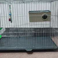 قفس پرنده با تمام ملزومات|لوازم جانبی حیوانات|آبدانان, |دیوار