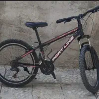 بازدید گوجان