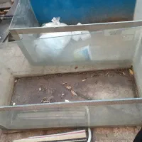 آکواریوم ماهی