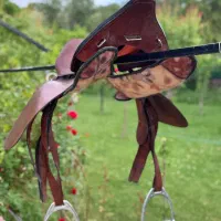 زین اسب|اسب و تجهیزات اسب‌سواری|تبریز, |دیوار