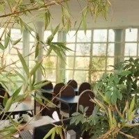 استخدام همکار پرانرژی در رستوران روژین|استخدام خدمات فروشگاه و رستوران|هشتگرد, فاز ۱ مهستان|دیوار