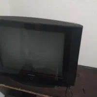 تلوزیون