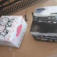 دستمال کاغذی خودرو گلریز