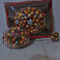 گل طبیعی خشک شده|گل و گیاه طبیعی|خمینی‌شهر, |دیوار