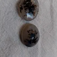 سنگ شجر|کلکسیون اشیاء عتیقه|تهران, جوادیه تهرانپارس|دیوار