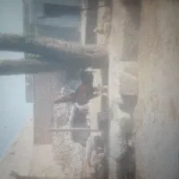 تخم لاری نطفه دار