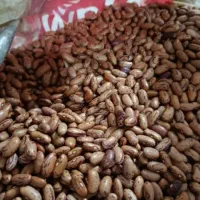 لوبیا چیتی کپسولی|خوردنی و آشامیدنی|اهواز, کوی مندلی(سه راه خرمشهر)|دیوار