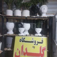 گل وگلدان|گل و گیاه طبیعی|اسلامآباد غرب, |دیوار