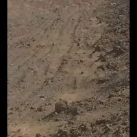 دوقطعه زمین ۱۲۲متری و ۱۴۷متری