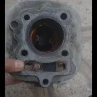 سیندر هندا پرنده عروس کفتر فنچ مرغ عشق فنچ|قطعات یدکی و لوازم جانبی|مشهد, پورسینا|دیوار