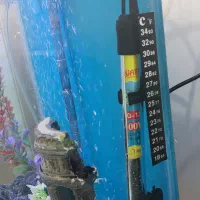 لوازم اکواریوم