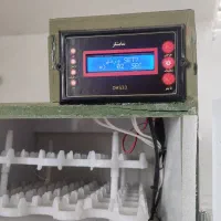 دستگاه جوجه کشی ۱۶۲تایی (خانگی)|لوازم جانبی حیوانات|ماسال, |دیوار