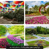 اجاره خانه ویلایی ۴۵ متری ۱ خوابه دروزجوادیه|اجارهٔ خانه و ویلا|تهران, تهرانپارس غربی|دیوار
