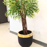 درختچه آمستل درخت بنجامین گل مصنوعی جاودان بنسای|گل مصنوعی|سرخه حصار, |دیوار
