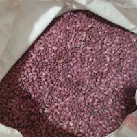 لوبیا قرمز