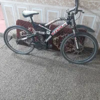دوچرخه ویوا ۲۴