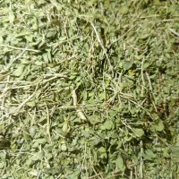 اویشن کوهی و باده