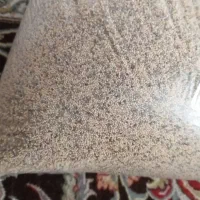 دانه خوراکی خشخاش