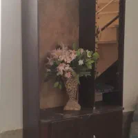 جاکفشی(سربیشه)