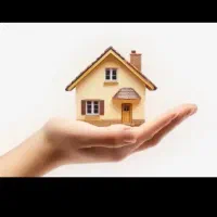 نیازمند یه همکار