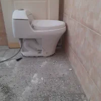 فرنگی سالم