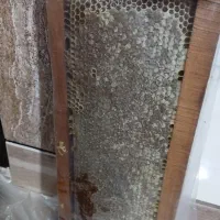 عسل طبیعی کوهستان به شرط میدم ناب ناب|خوردنی و آشامیدنی|کردکوی, |دیوار