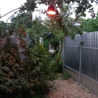 ااجاره سوییت دنج و دربست .جاده دریا ساری شهر آکند|اجارهٔ کوتاهمدت ویلا و باغ|آکند, |دیوار