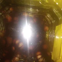 سیر ترشی ۷ساله بشرط|خوردنی و آشامیدنی|اهواز, کوروش|دیوار